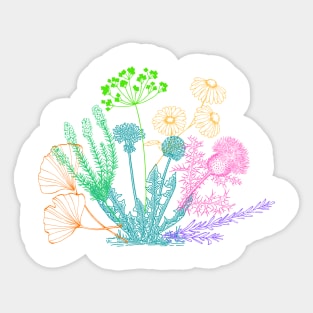 Bouquet of herbs Sticker